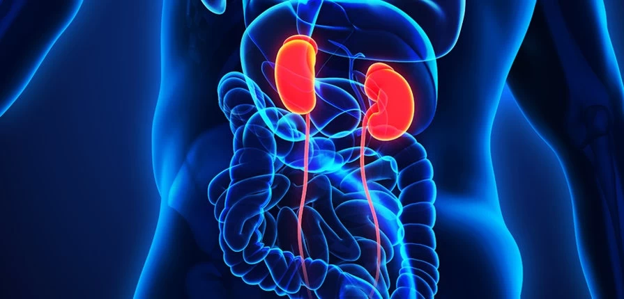 Νεφρική ανεπάρκεια: Ποια είναι τα επικίνδυνα συμπτώματα- Πρέπει να δώσετε προσοχή!